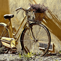 Urban Commuter 350