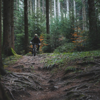 Trail Master 29